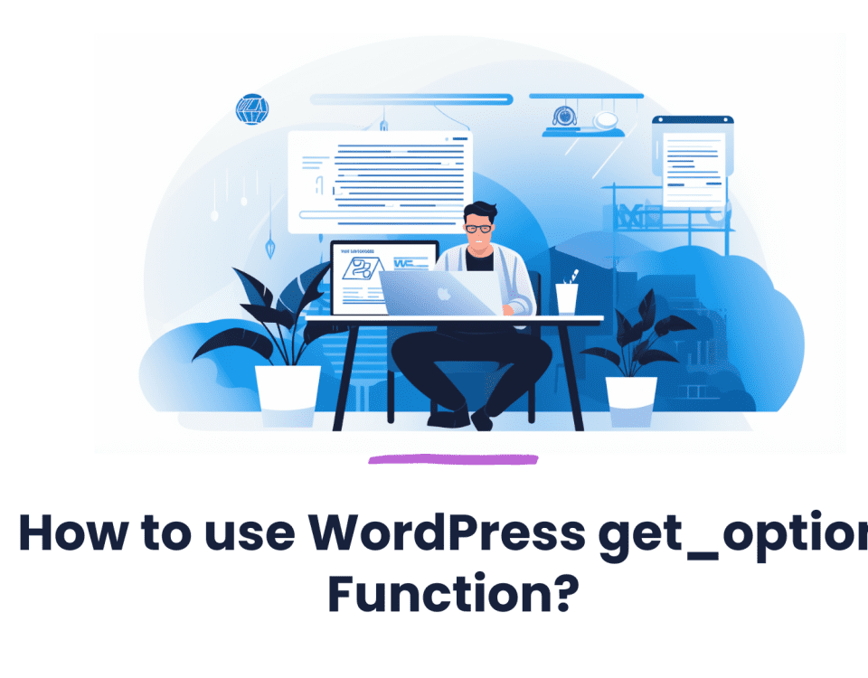 How to use WordPress get option Function