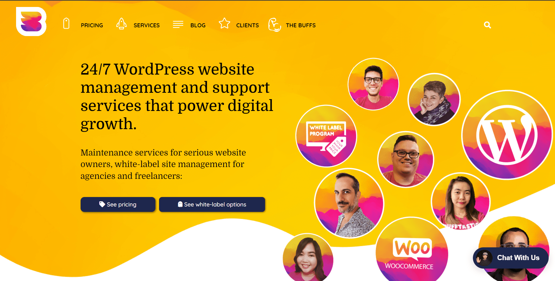 wordpress maintenance service providers