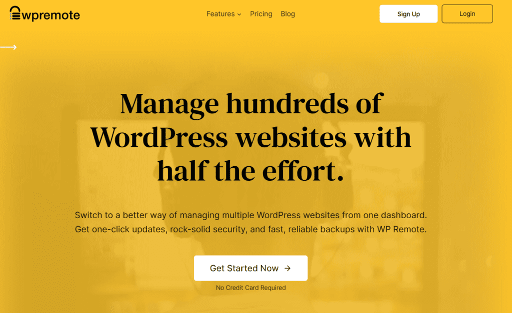 WordPress Website Management Tools