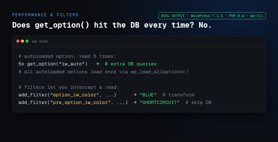 Autoloaded options add zero DB queries; pre_option and option filters demo