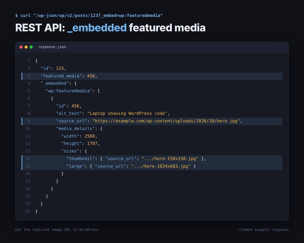 Example WordPress REST API response with _embed=wp:featuredmedia showing featured_media, source_url and media_details sizes